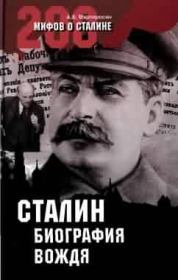 Книга - Сталин: биография вождя.  Арсен Беникович Мартиросян  - прочитать полностью в библиотеке КнигаГо