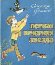 Книга - Первая Вечерняя Звезда.  Александр Романов  - прочитать полностью в библиотеке КнигаГо