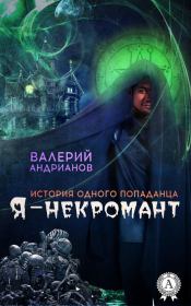 Книга - Я – некромант. Часть 1.  Валерий Александрович Андрианов  - прочитать полностью в библиотеке КнигаГо