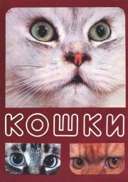 Книга - Кошки.  Николай Николаевич Непомнящий  - прочитать полностью в библиотеке КнигаГо