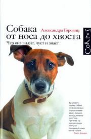 Книга - Собака от носа до хвоста. Что она видит, чует и знает.  Александра Горовиц  - прочитать полностью в библиотеке КнигаГо