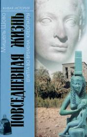 Книга - Повседневная жизнь Египта во времена Клеопатры.  Мишель Шово  - прочитать полностью в библиотеке КнигаГо
