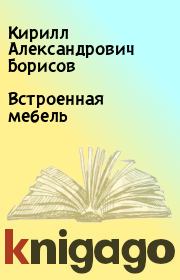 Книга - Встроенная мебель.  Кирилл Александрович Борисов  - прочитать полностью в библиотеке КнигаГо