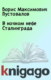 Книга - В ночном небе Сталинграда.  Борис Максимович Пустовалов  - прочитать полностью в библиотеке КнигаГо