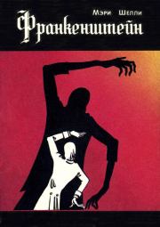 Книга - Франкенштейн, или Современный Прометей.  Мэри Уолстонкрафт Шелли  - прочитать полностью в библиотеке КнигаГо
