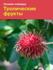 Тропические фрукты. Сергей О Серебряков