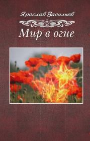 Книга - Мир в огне.  Ярослав Маратович Васильев  - прочитать полностью в библиотеке КнигаГо