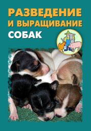 Разведение и выращивание собак. Илья Мельников