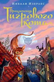 Книга - Приключения Тигрового кота.  Инбали Изерлес  - прочитать полностью в библиотеке КнигаГо