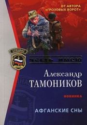 Книга - Афганские сны.  Александр Александрович Тамоников  - прочитать полностью в библиотеке КнигаГо