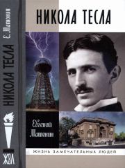 Книга - Никола Тесла.  Евгений Витальевич Матонин  - прочитать полностью в библиотеке КнигаГо