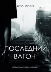 Книга - Последний вагон.  Игорь Александрович Корнеев  - прочитать полностью в библиотеке КнигаГо