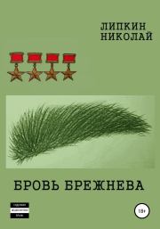 Книга - Бровь Брежнева.  Николай Аркадьевич Липкин  - прочитать полностью в библиотеке КнигаГо