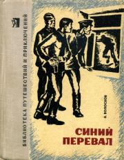 Книга - Синий перевал.  Владимир Васильевич Волосков  - прочитать полностью в библиотеке КнигаГо