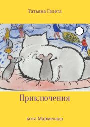 Книга - Приключения кота Мармелада.  Татьяна Галета  - прочитать полностью в библиотеке КнигаГо