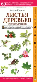 Листья деревьев. Как узнать растение: наглядный карманный определитель. Михаил Евгеньевич Куценко