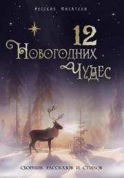 12 новогодних чудес. Юлия Рахаева