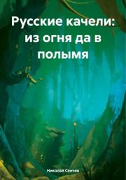 Книга - Русские качели: из огня да в полымя.  Николай Васильевич Сенчев  - прочитать полностью в библиотеке КнигаГо