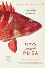 Книга - Что знает рыба.  Джонатан Бэлкомб  - прочитать полностью в библиотеке КнигаГо