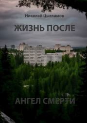 Книга - Жизнь после. Ангел Смерти.  Н. А. Цыглимов  - прочитать полностью в библиотеке КнигаГо