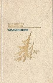 Книга - Мальчишник.  Владислав Николаевич Николаев  - прочитать полностью в библиотеке КнигаГо