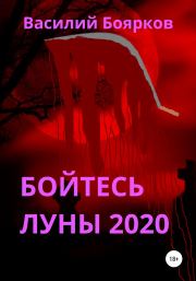 Книга - Бойтесь Луны 2020.  Василий Боярков  - прочитать полностью в библиотеке КнигаГо