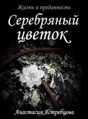 Книга - Серебряный цветок (СИ).  Анастасия Ястребцова  - прочитать полностью в библиотеке КнигаГо