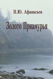 Книга - Золото Приамурья.  Павел Юрьевич Афанасьев  - прочитать полностью в библиотеке КнигаГо