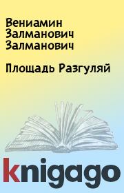 Книга - Площадь Разгуляй.  Вениамин Залманович Залманович  - прочитать полностью в библиотеке КнигаГо