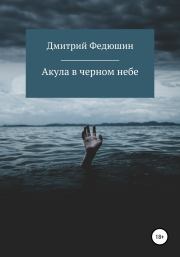 Книга - Акула в черном небе.  Дмитрий Геннадиевич Федюшин  - прочитать полностью в библиотеке КнигаГо