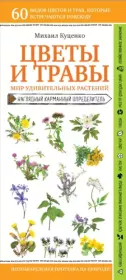 Книга - Цветы и травы. Мир удивительных растений.  Михаил Евгеньевич Куценко  - прочитать полностью в библиотеке КнигаГо