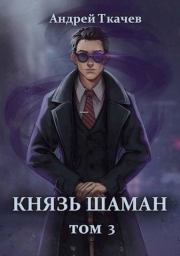 Книга - Князь шаман. Том 3.  Андрей Сергеевич Ткачев  - прочитать полностью в библиотеке КнигаГо
