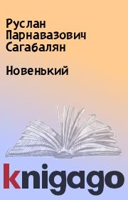 Книга - Новенький.  Руслан Парнавазович Сагабалян  - прочитать полностью в библиотеке КнигаГо