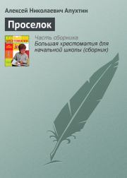 Книга - Проселок.  Алексей Николаевич Апухтин  - прочитать полностью в библиотеке КнигаГо