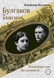 Книга - Булгаков и княгиня.  Владимир Алексеевич Колганов  - прочитать полностью в библиотеке КнигаГо