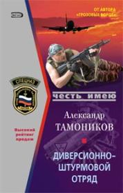 Книга - Диверсионно-штурмовой отряд.  Александр Александрович Тамоников  - прочитать полностью в библиотеке КнигаГо