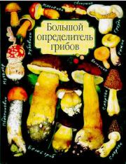 Книга - Большой определитель грибов.  А. В. Юдин  - прочитать полностью в библиотеке КнигаГо