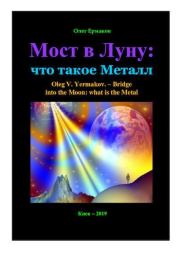 Книга - Мост в Луну: что такое Металл.  Олег Владимирович Ермаков  - прочитать полностью в библиотеке КнигаГо