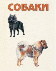 Книга - Собаки.  Ласло Патаи , Янош Синак  - прочитать полностью в библиотеке КнигаГо