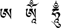 Книгаго: Исцеление формой, энергией и светом. Пять элементов в тибетском шаманизме, Тантре и Дзогчене. Иллюстрация № 1