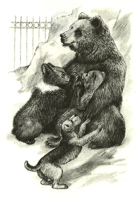 Книгаго: Питомцы зоопарка. Иллюстрация № 3