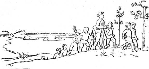 Книгаго: Дунин мох (Рассказ о торфяных болотах). Иллюстрация № 3