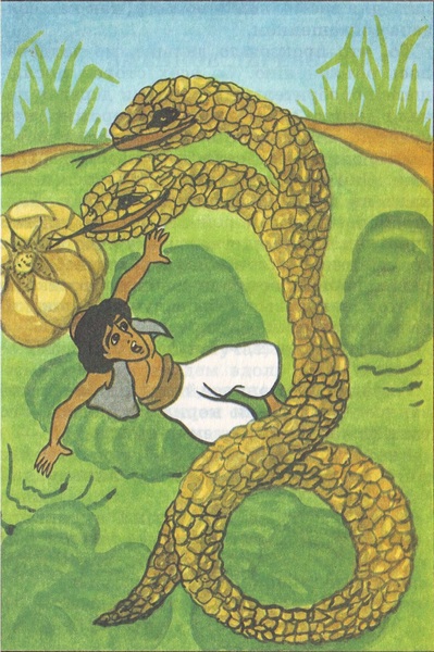 Книгаго: Алладин и золотой дракон. Иллюстрация № 13