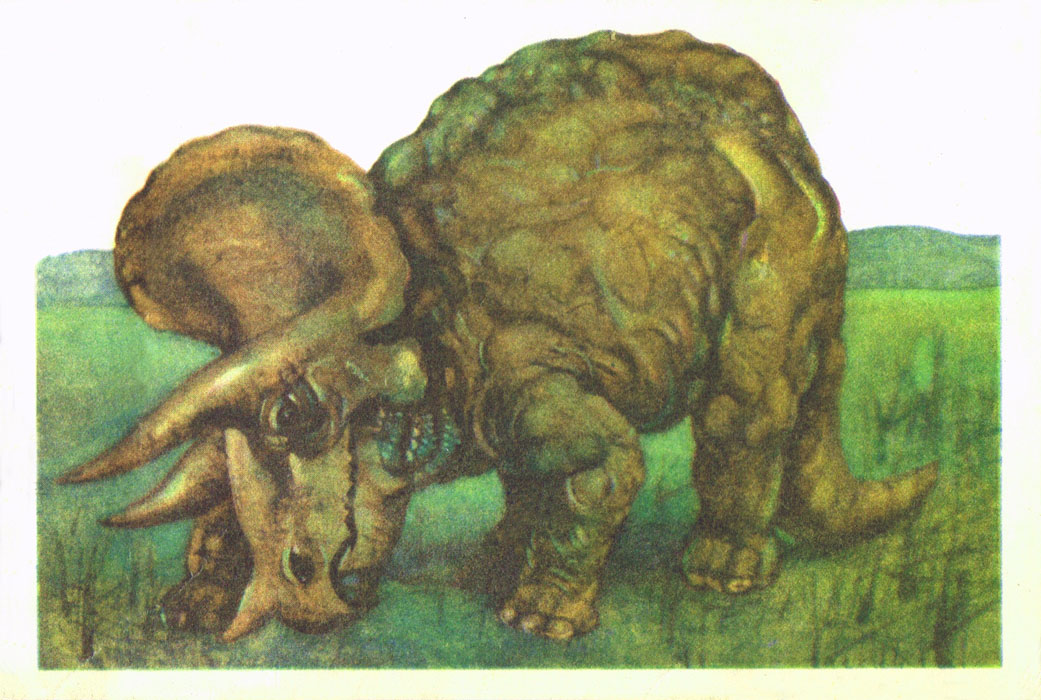 Книгаго: В мире древних животных. Иллюстрация № 2