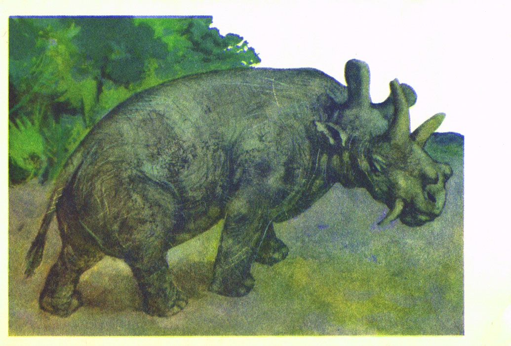Книгаго: В мире древних животных. Иллюстрация № 5