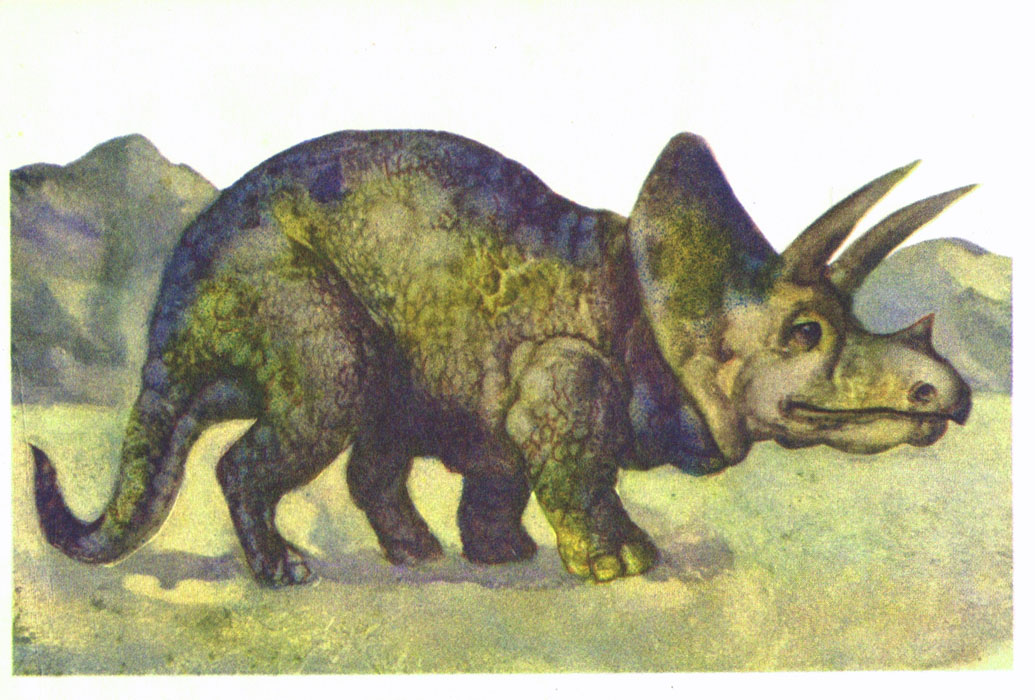 Книгаго: В мире древних животных. Иллюстрация № 7