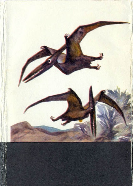 Книгаго: В мире древних животных. Иллюстрация № 16