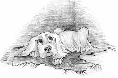 Книгаго: Шел по осени щенок. Иллюстрация № 1