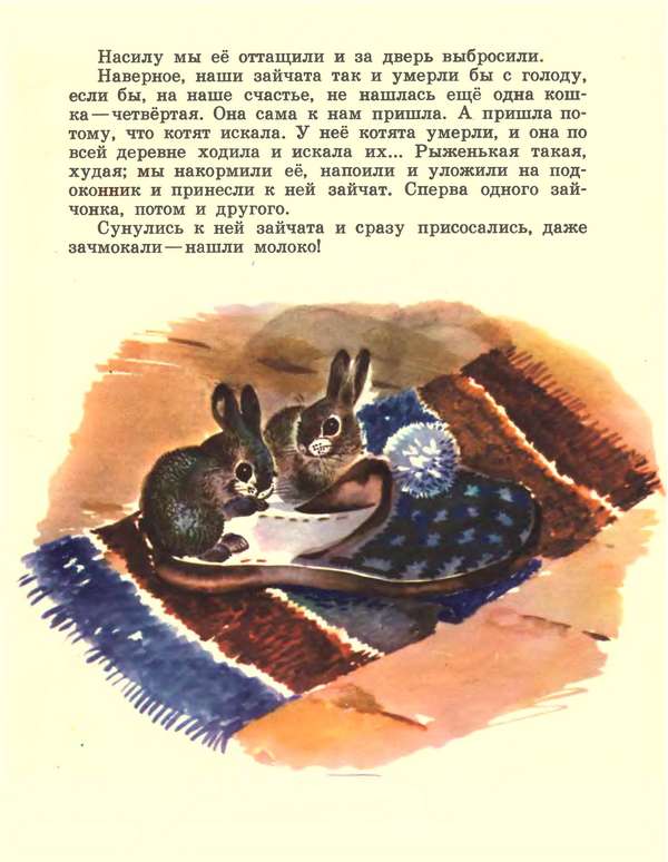 Книгаго: Про зайчат. Иллюстрация № 8