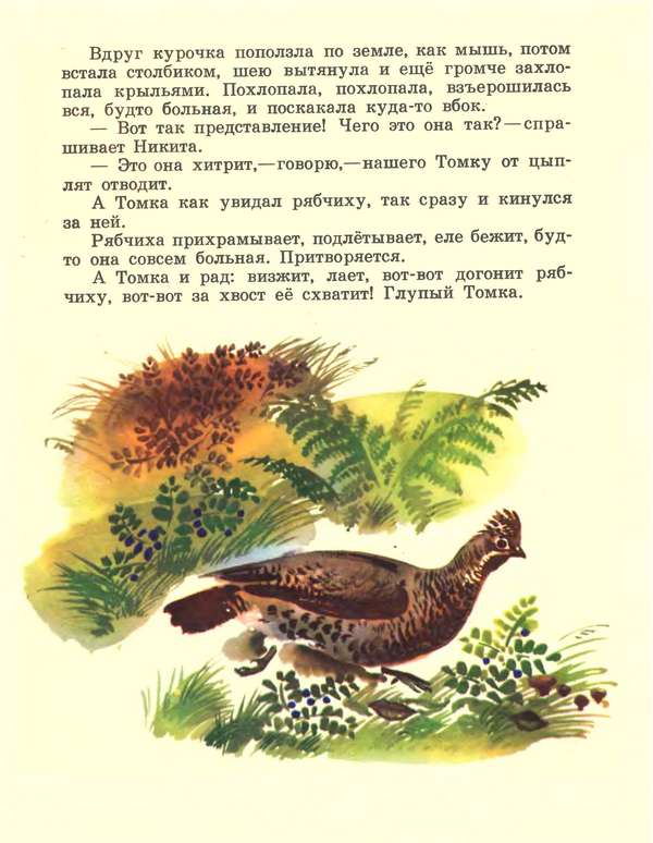 Книгаго: Про зайчат. Иллюстрация № 12